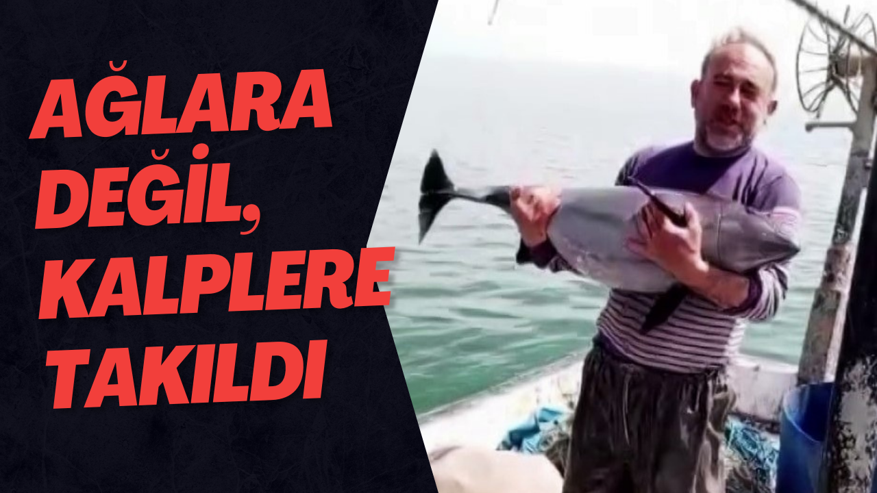 Ağlara Değil, Kalplere Takıldı