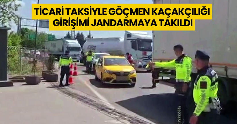 Ticari taksiyle göçmen kaçakçılığı girişimi jandarmaya takıldı