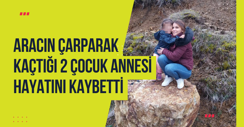 Ticari taksiyle göçmen kaçakçılığı girişimi jandarmaya takıldı