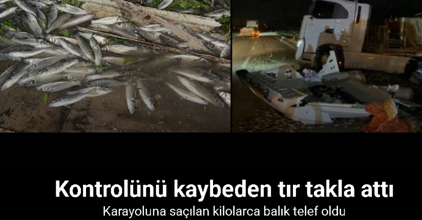 Devrilen tırdan karayoluna saçılan kilolarca balık telef oldu