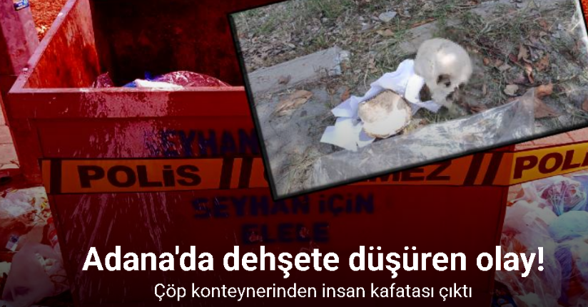Çöp konteynerinden insan kafatası çıktı