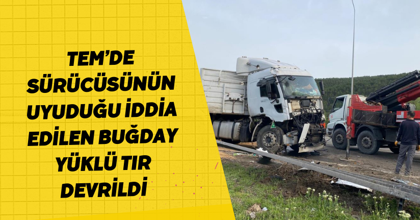 TEM’de sürücüsünün uyuduğu iddia edilen buğday yüklü tır devrildi
