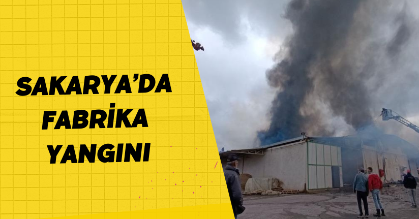Sakarya’da fabrika yangını