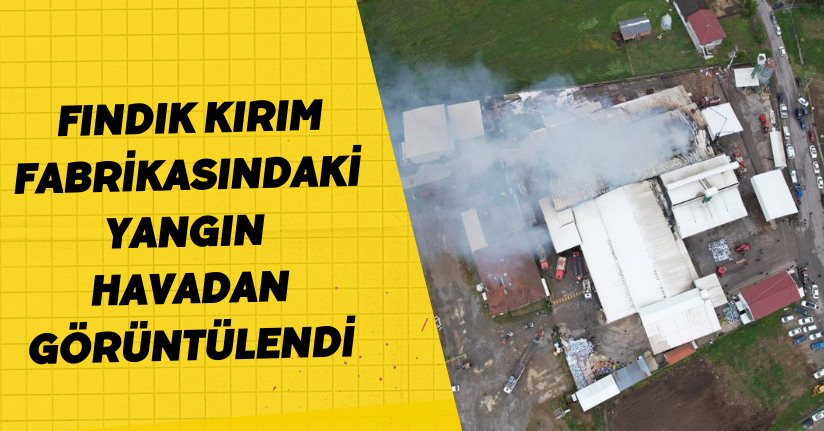 Fındık kırım fabrikasındaki yangın havadan görüntülendi
