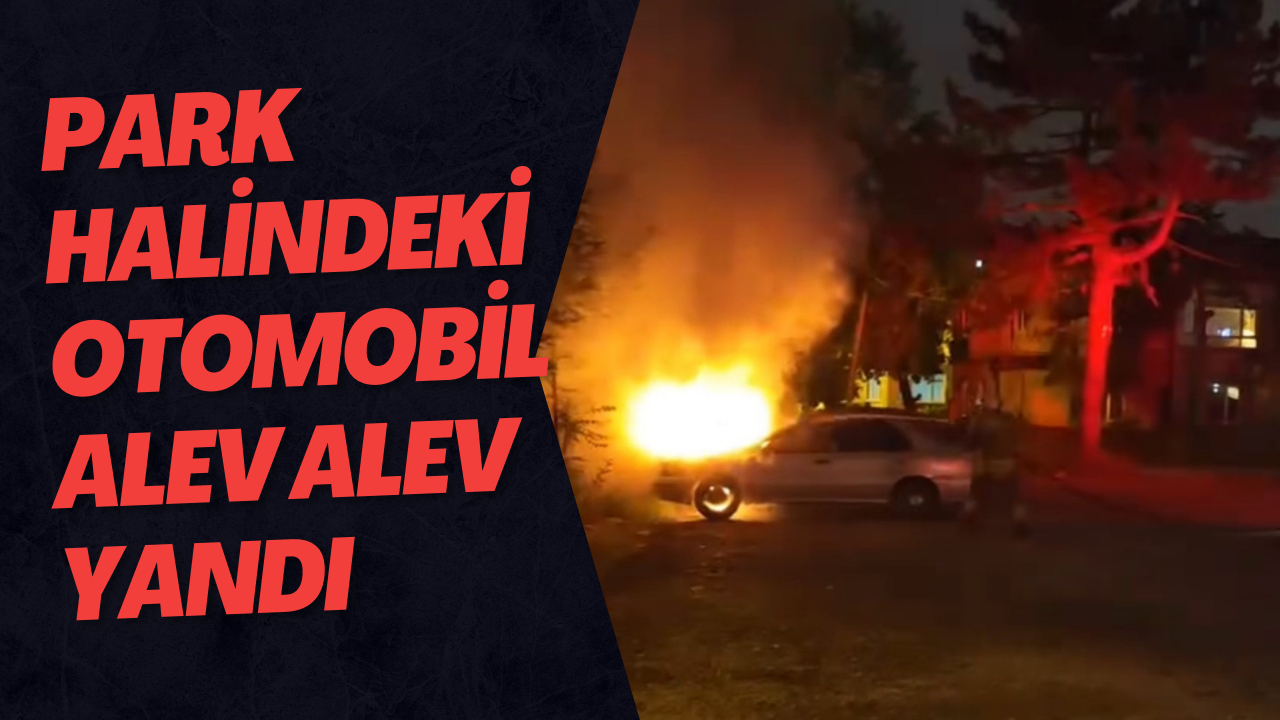 Park Halindeki Otomobil Alev Alev Yandı