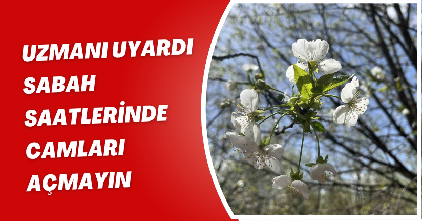 Uzmanı uyardı: 