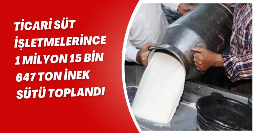 Ticari süt işletmelerince 1 milyon 15 bin 647 ton inek sütü toplandı