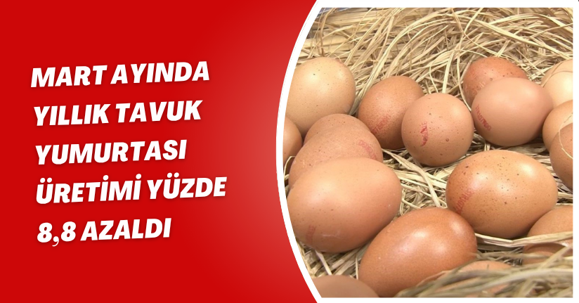 Mart ayında yıllık tavuk yumurtası üretimi yüzde 8,8 azaldı