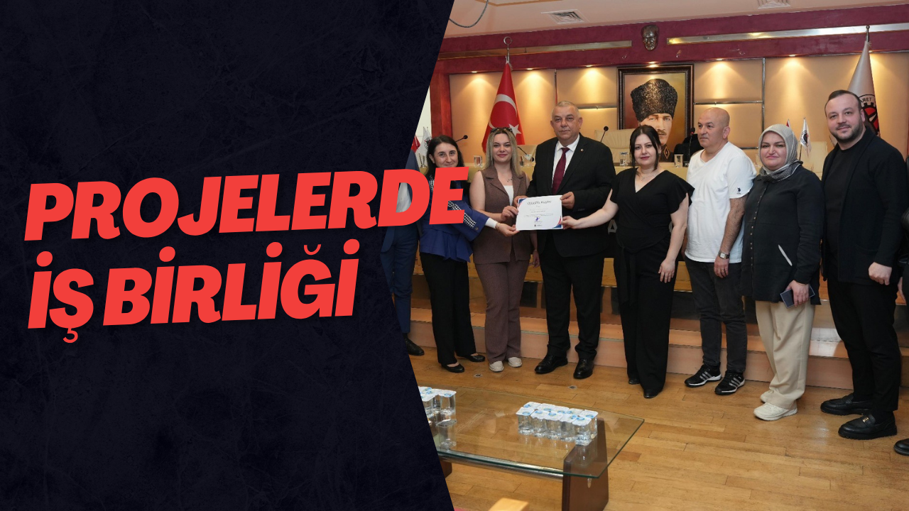 Projelerde İş Birliği