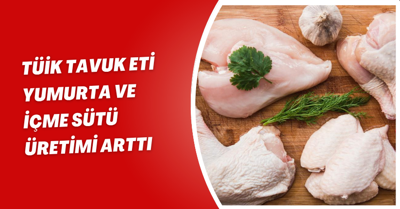TÜİK: Tavuk eti, yumurta ve içme sütü üretimi arttı
