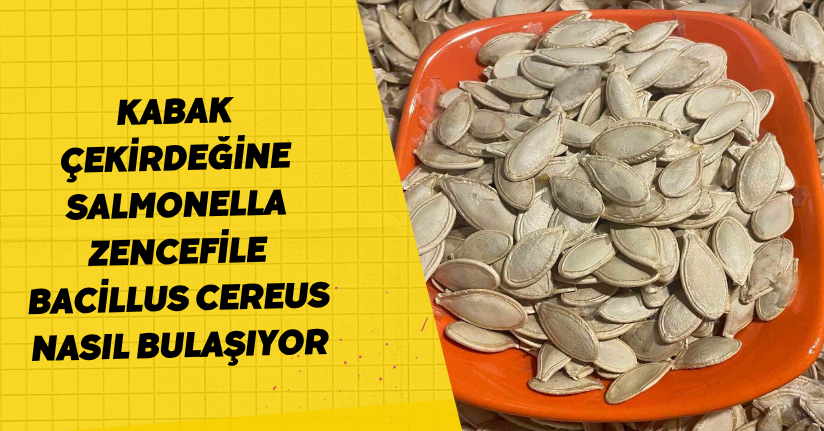 Kabak çekirdeğine 
