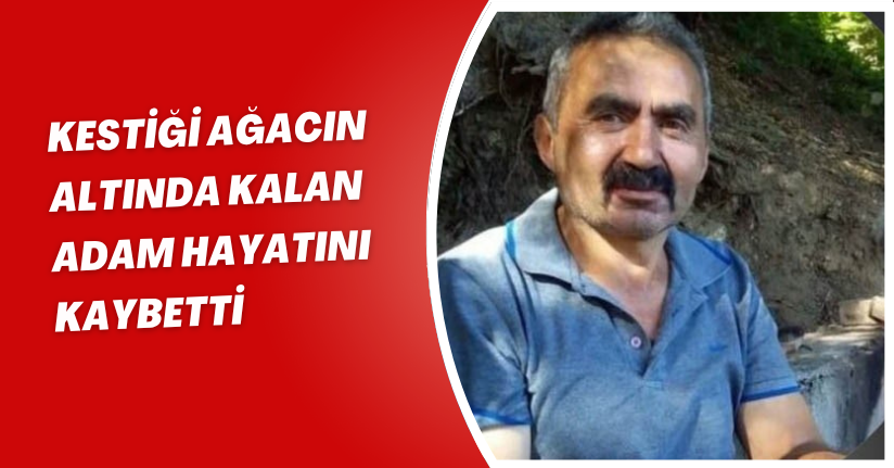 Kestiği ağacın altında kalan adam hayatını kaybetti