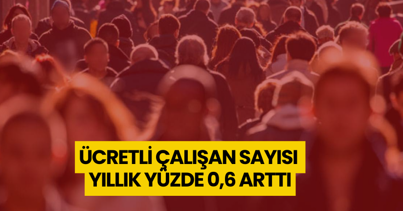 Ücretli çalışan sayısı yıllık yüzde 0,6 arttı