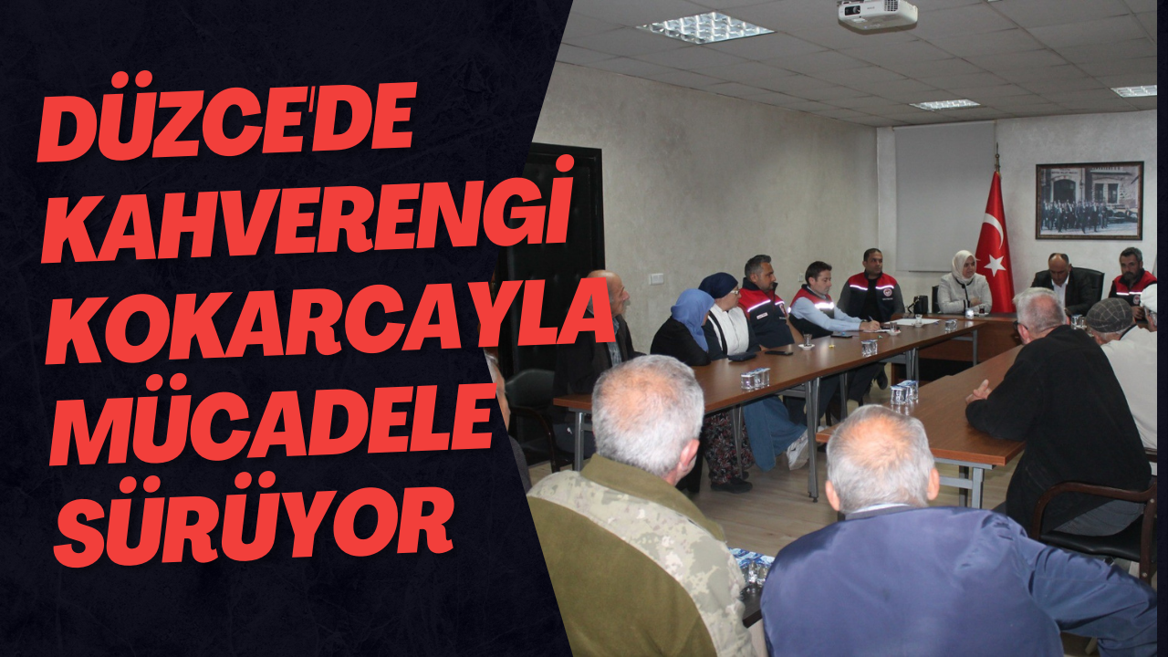 Düzce'de Kahverengi Kokarcayla Mücadele Sürüyor
