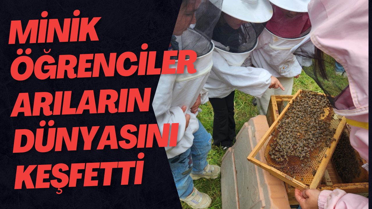Minik Öğrenciler Arıların Dünyasını Keşfetti