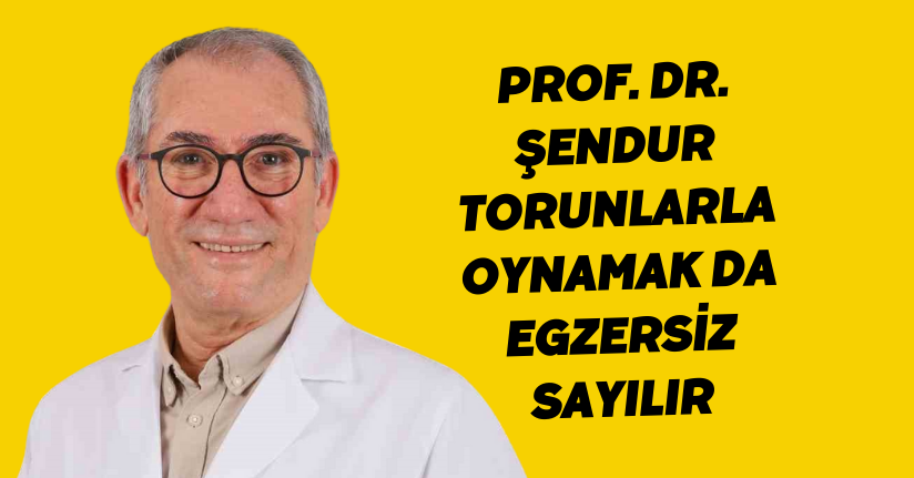 Prof. Dr. Şendur: 