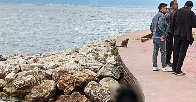 Sahildeki kayalıklarda erkek cesedi bulundu