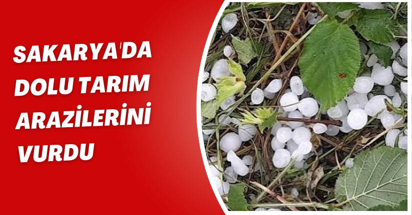  Sakarya'da dolu tarım arazilerini vurdu
