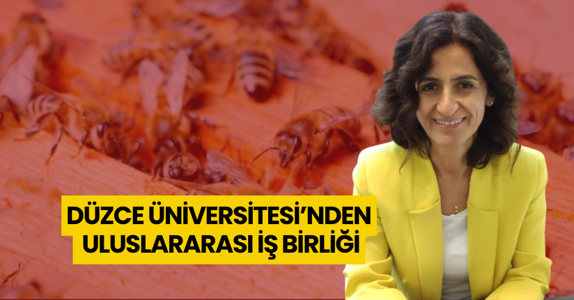  Düzce Üniversitesi’nden uluslararası iş birliği