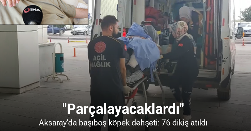 Aksaray’da başıboş köpek dehşeti: 76 dikiş atıldı
