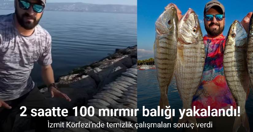 İzmit Körfezi’nde temizlik çalışmaları sonuç verdi: 2 saatte 100 kiloluk mırmır yakalandı