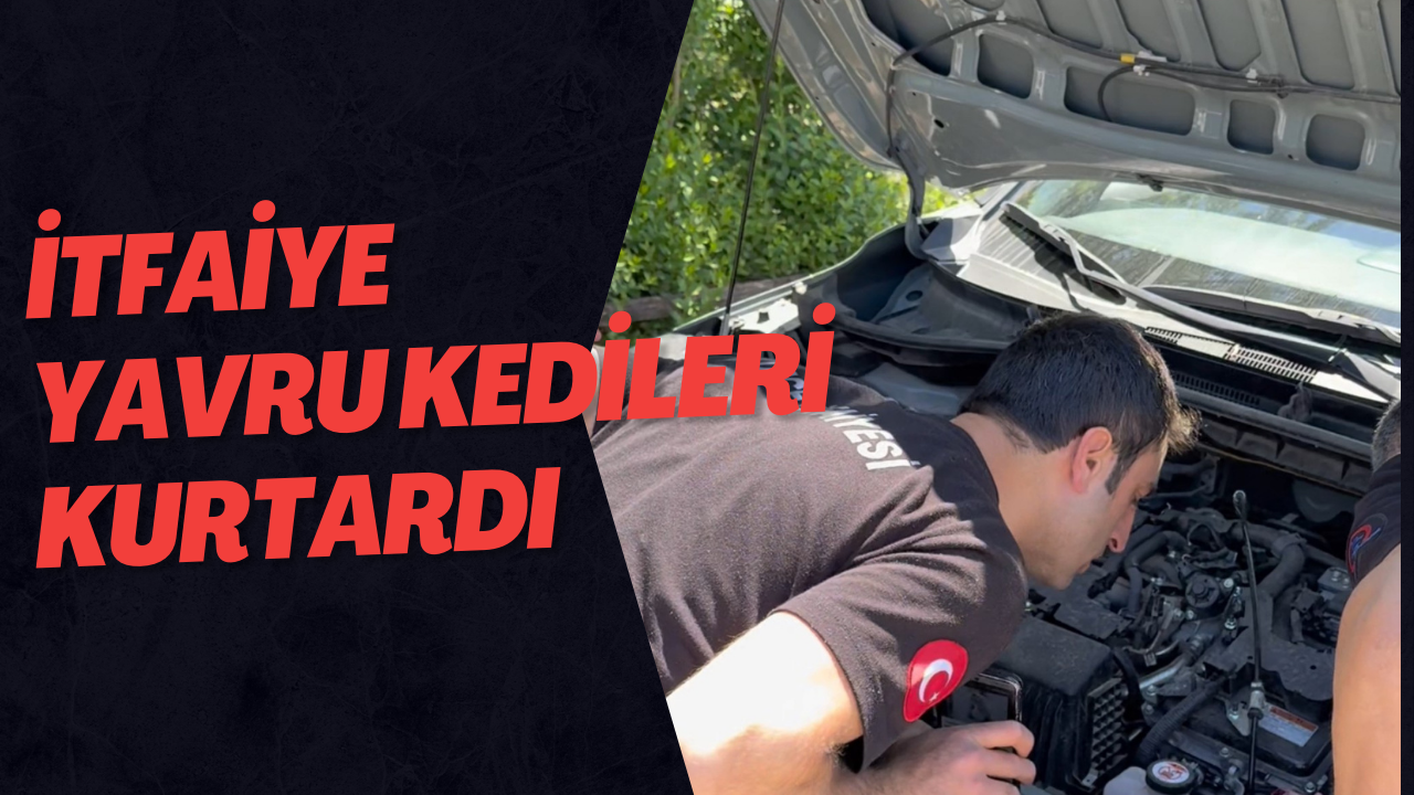 İtfaiye Yavru Kedileri Kurtardı