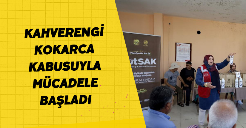 Kahverengi kokarca kabusuyla mücadele başladı