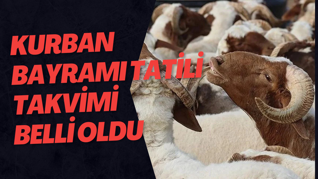 Kurban Bayramı Tatili Takvimi Belli Oldu