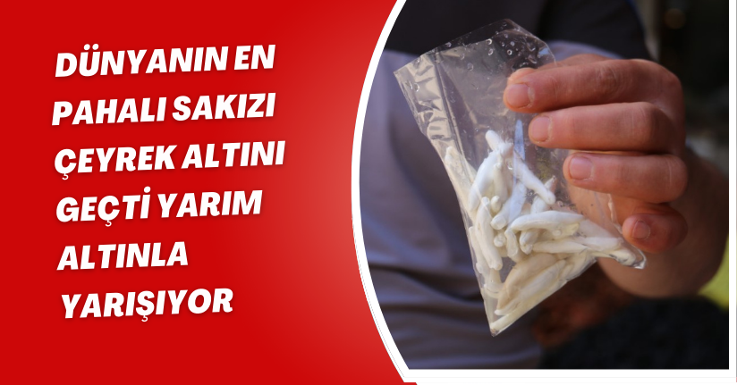 Dünyanın en pahalı sakızı, çeyrek altını geçti yarım altınla yarışıyor