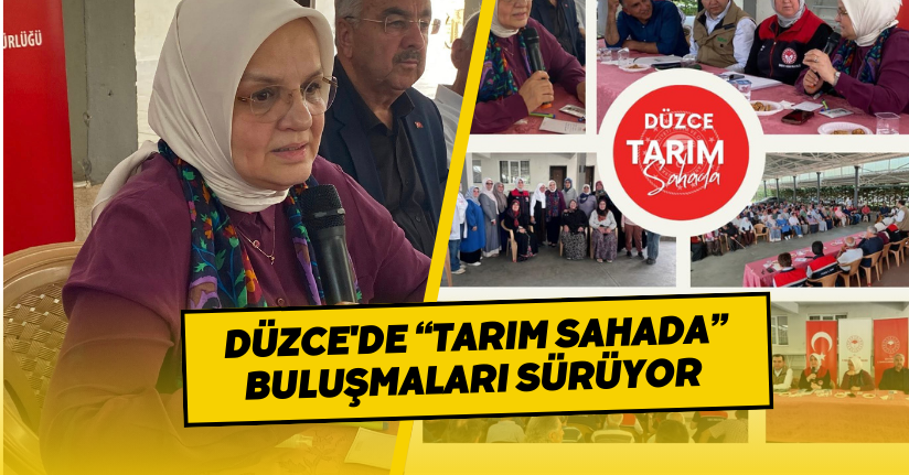 Düzce'de “Tarım Sahada” Buluşmaları Sürüyor
