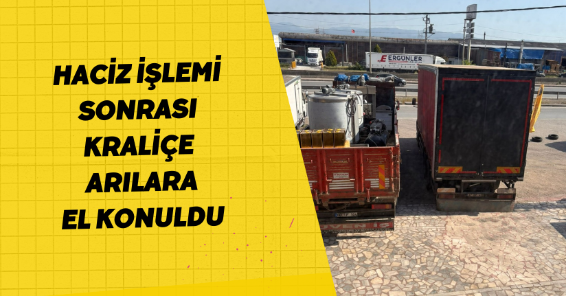 Haciz işlemi sonrası kraliçe arılara el konuldu