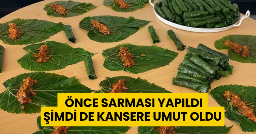 Önce sarması yapıldı şimdi de kansere umut oldu