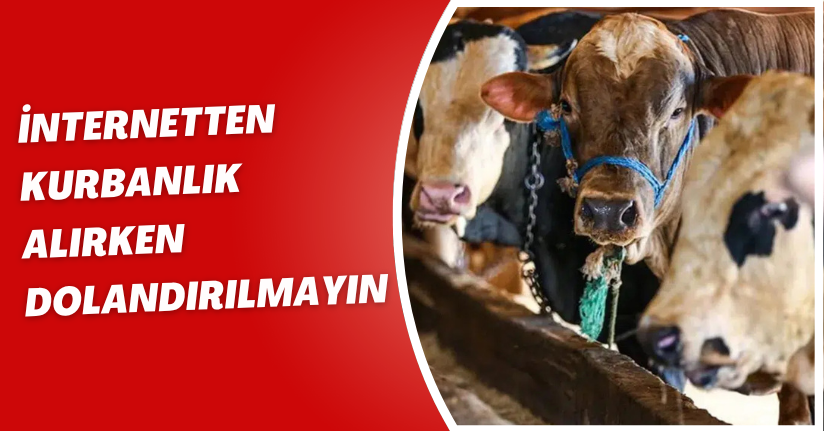 İnternetten kurbanlık alırken dolandırılmayın