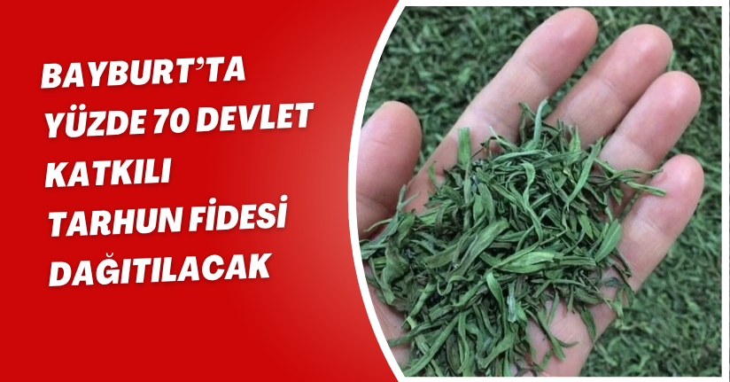 Bayburt’ta yüzde 70 devlet katkılı ‘Tarhun’ fidesi dağıtılacak
