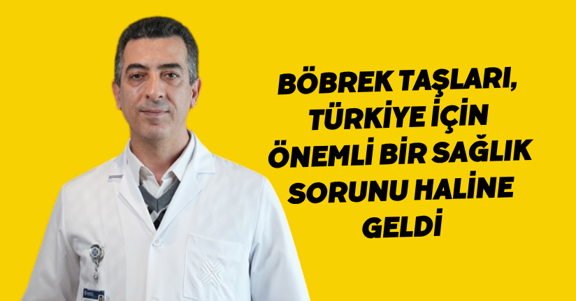 Böbrek taşları, Türkiye için önemli bir sağlık sorunu haline geldi