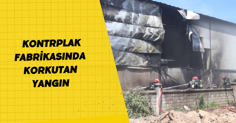 Kontrplak fabrikasında korkutan yangın