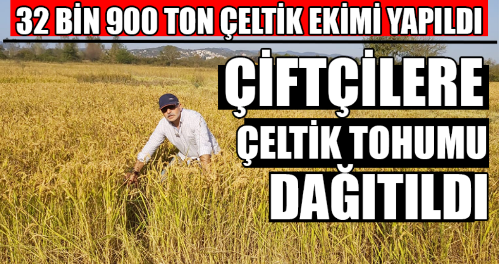 32 Bin 900 Ton Çeltik Ekimi Yapıldı