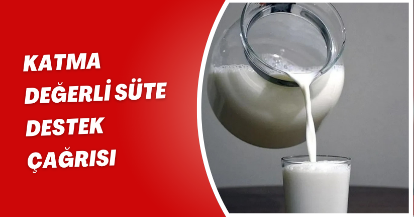 Katma değerli süte destek çağrısı