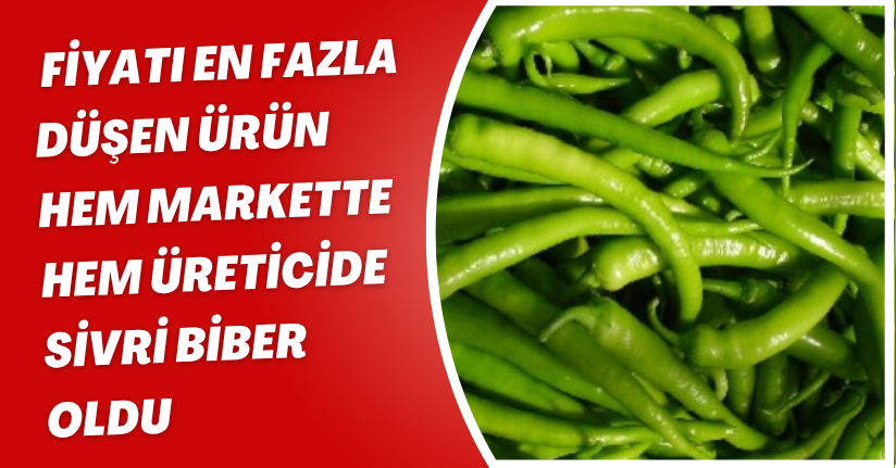 Fiyatı en fazla düşen ürün hem markette hem üreticide sivri biber oldu