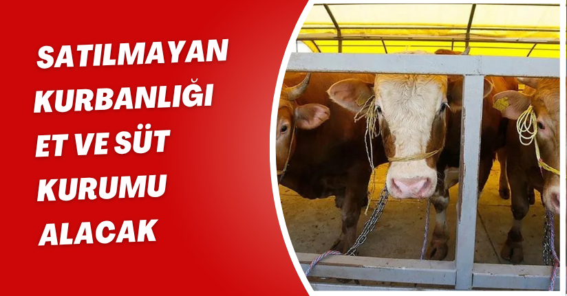 Satılmayan kurbanlığı Et ve Süt Kurumu alacak