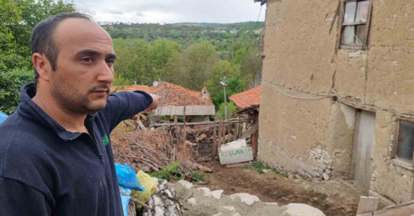 Kütahya’da kurtların saldırısında 11 koyun telef oldu
