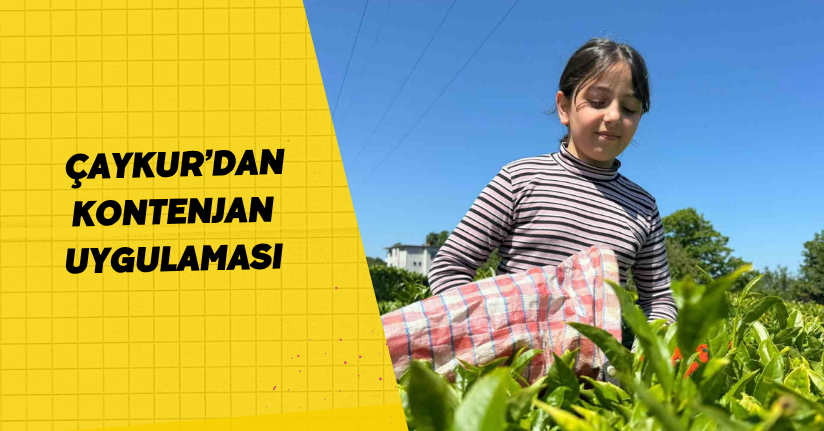 ÇAYKUR’dan kontenjan uygulaması