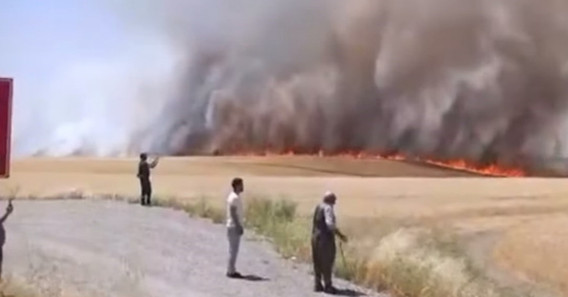 Diyarbakır’da bin dönümden fazla biçilmemiş buğday ve arpa yangında kül oldu