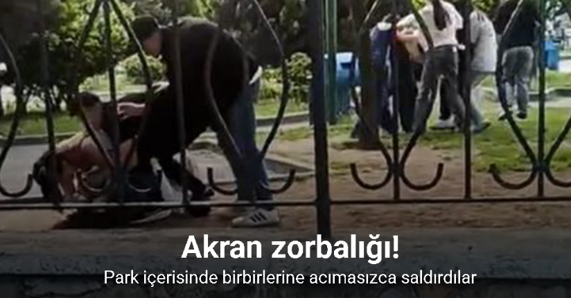Başakşehir’de akran zorbalığı