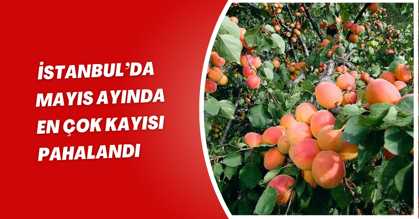 İstanbul’da Mayıs ayında en çok kayısı pahalandı