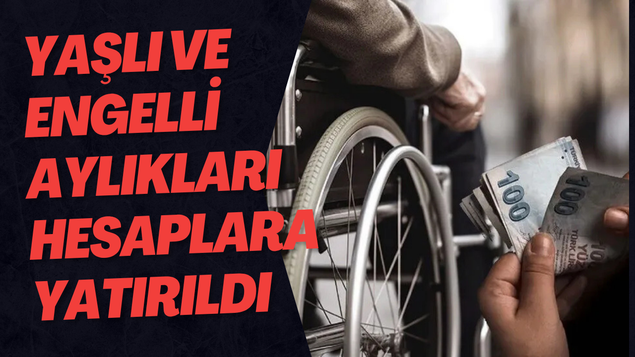 Yaşlı Aylığı Ve Engelli Aylıklarını Hesaplara Yatırıldı