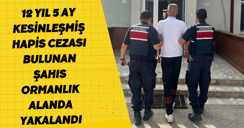 12 yıl 5 ay kesinleşmiş hapis cezası bulunan şahıs ormanlık alanda yakalandı