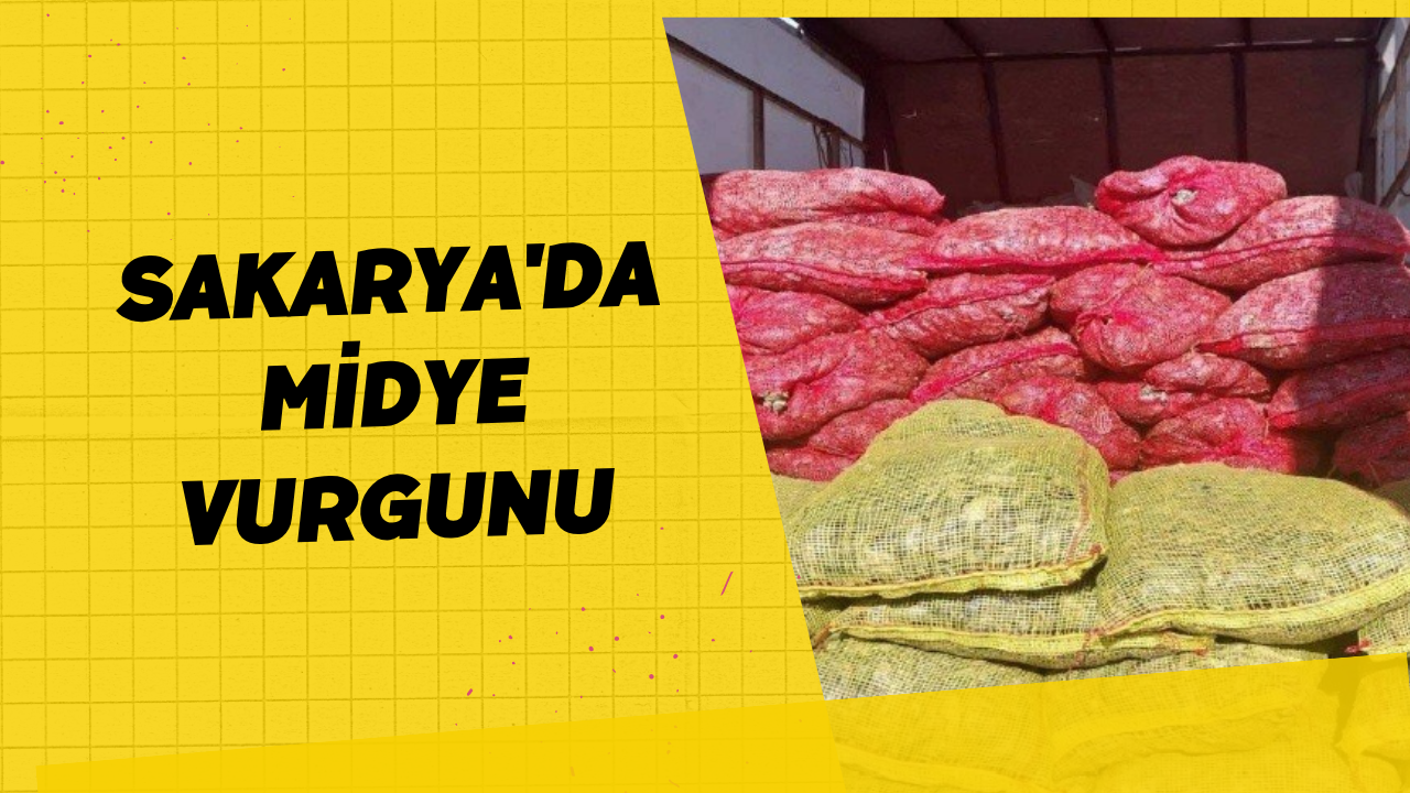 Sakarya'da Midye Vurgunu
