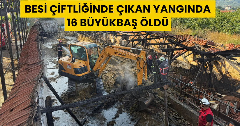 Besi çiftliğinde çıkan yangında 16 büyükbaş öldü