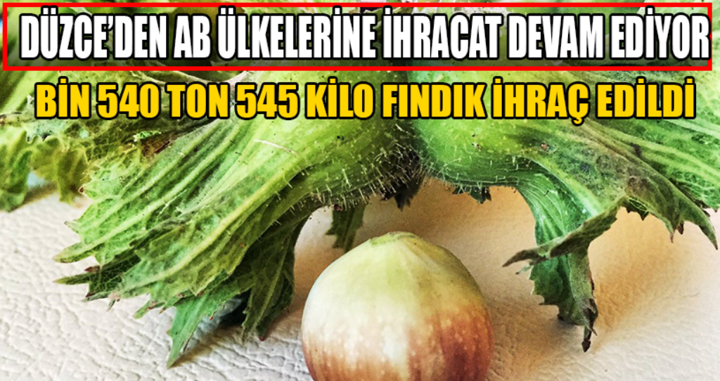 Düzce’den AB Ülkelerine İhracat Devam Ediyor